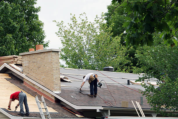 Best Roof Maintenance Services  in Jefferson, NC